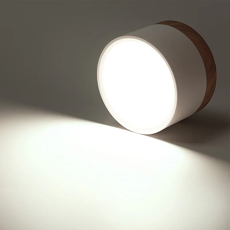 LED Surface Mounted Ceiling Downlight Nordic Spot light for indoor Foyer,Living Room Downlight Dimmable 5W 7W 9W12W 15W 110V220V