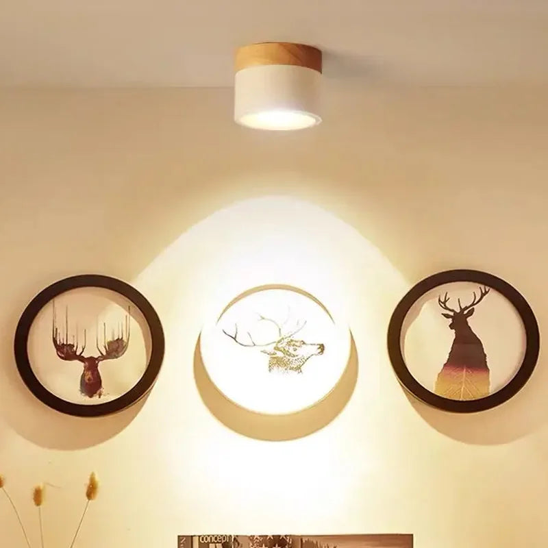 LED Surface Mounted Ceiling Downlight Nordic Spot light for indoor Foyer,Living Room Downlight Dimmable 5W 7W 9W12W 15W 110V220V