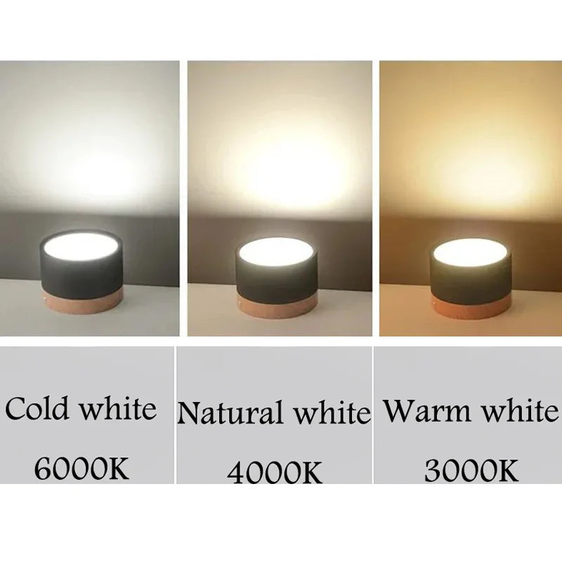 LED Surface Mounted Ceiling Downlight Nordic Spot light for indoor Foyer,Living Room Downlight Dimmable 5W 7W 9W12W 15W 110V220V