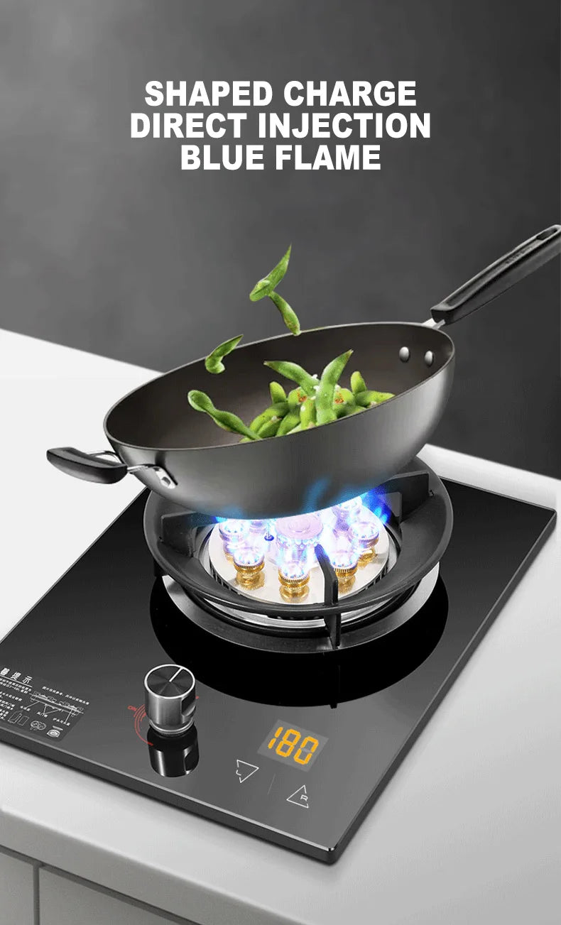 Household Gas Stove Hob Gas Burner Built-in Gas Cooker Desktop Gas Cooktop Timed Liquefied Gas Stove Cooktop estufa de gas