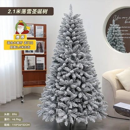 Christmas Snowfall, Plucking, Encryption, Christmas Tree Ornaments, Christmas Decorations, Christmas Trees