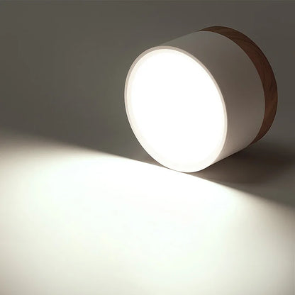 LED Surface Mounted Ceiling Downlight Nordic Spot light for indoor Foyer,Living Room Downlight Dimmable 5W 7W 9W12W 15W 110V220V