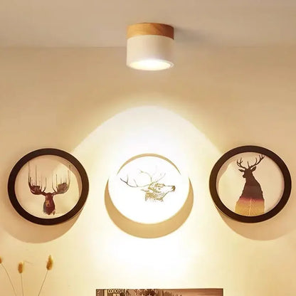 LED Surface Mounted Ceiling Downlight Nordic Spot light for indoor Foyer,Living Room Downlight Dimmable 5W 7W 9W12W 15W 110V220V