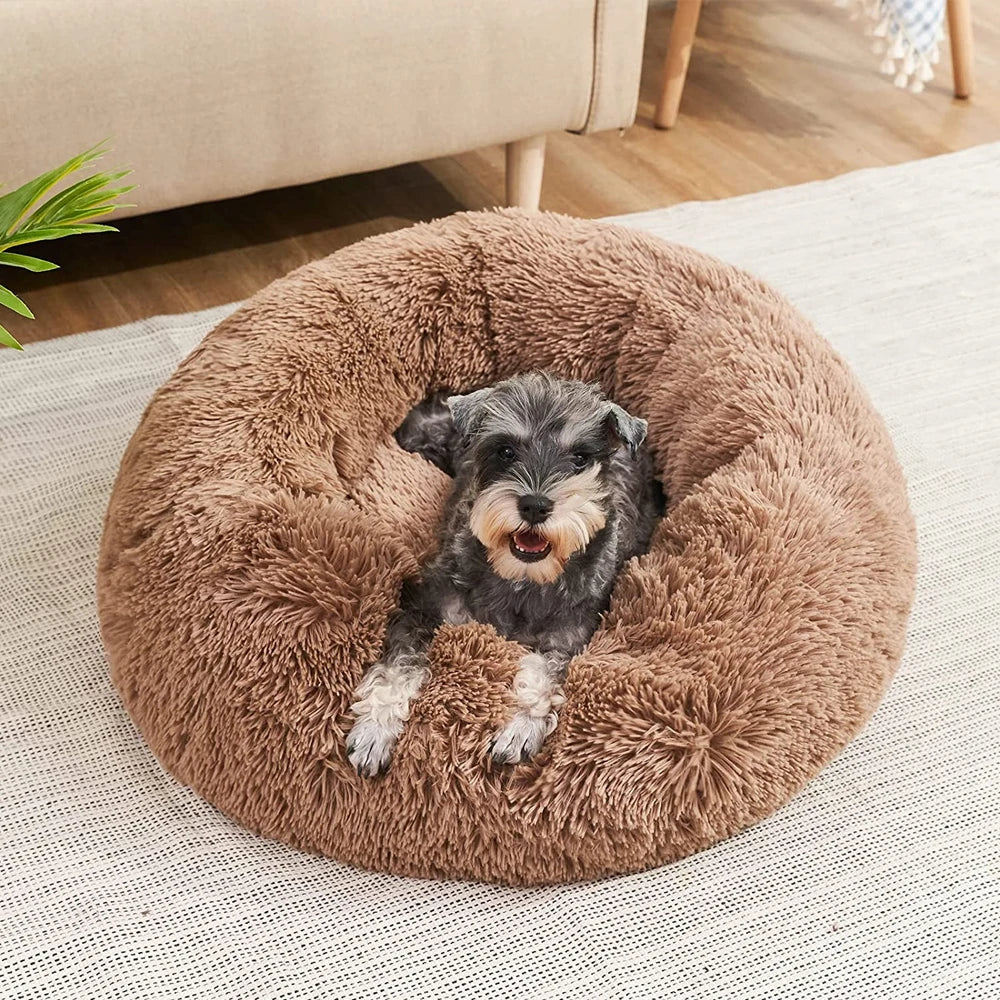 CALMING DONUT BED 'premium'