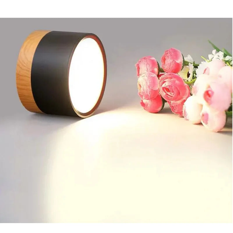 LED Surface Mounted Ceiling Downlight Nordic Spot light for indoor Foyer,Living Room Downlight Dimmable 5W 7W 9W12W 15W 110V220V