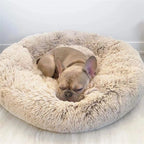 CALMING DONUT BED 'premium'